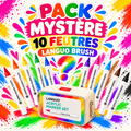 Pack Mystère — 10 Feutres Acryliques Languo Brush